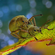 Illustration for article titled The Alien and Eerie Beauty of the Year's Best Microscopic Photos